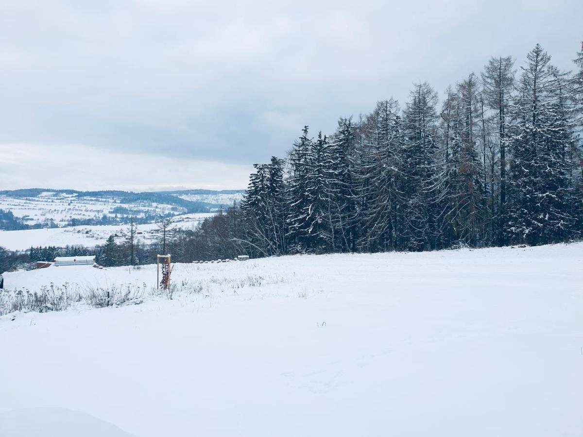 Apartman U Sedmikrasky Vaclavov u Bruntalu Buitenkant foto